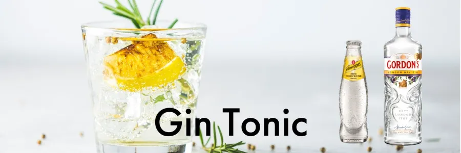 Gin Tonic 0,2l